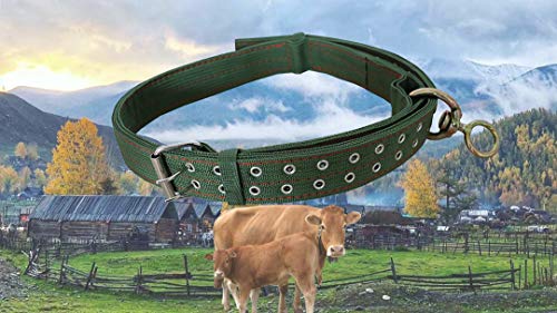 Kuhhalsband - Verstellbares vierlagiges Nylon verdicktes Kuhhalsband mit 2-reihiger Metallschnalle und Ring Metallschnalle Traktionskette für Pferd, Schaf, Rind, Hund, Kamel (144,8 cm) von Bousg