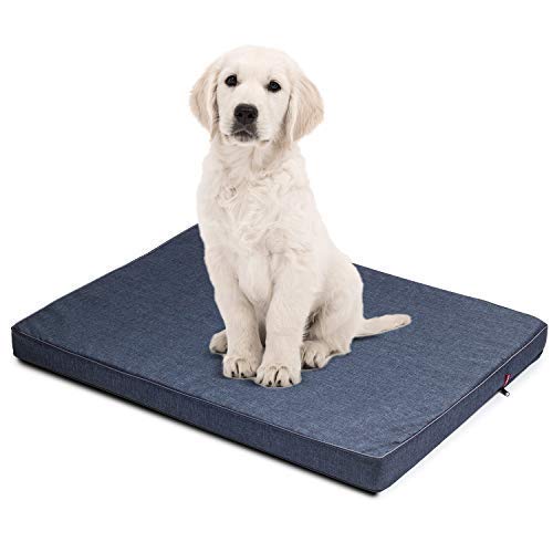 BOUTIQUE ZOO Hundematratze für Hunde | L: 100 x 75 x 6 cm | Hundesofa Hundekissen Hundematte für groß und klein | Codurastoff | Elegant | Waschbar | Farbe: Blau von BOUTIQUE ZOO