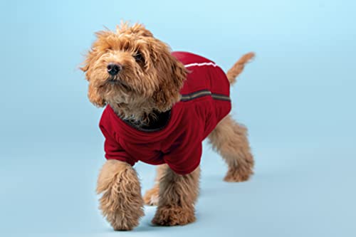 BoxDog Polar Fleece Warme Hundejacke I Kaltwetter Hundemantel | Hundejacken Größe XS, S, M, L, XL, XXL (S, Rot) von BoxDog