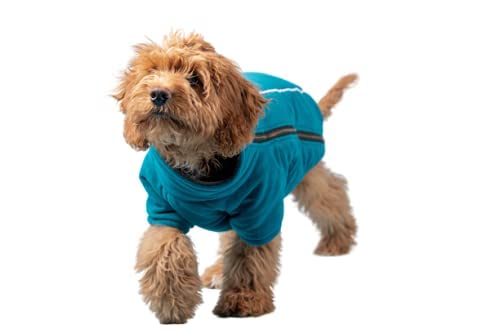 BoxDog Warme Hundeanzug Hundejacke aus Polar-Fleece für kaltes Wetter | kleine Hunde Hundejacken (klein) von BoxDog