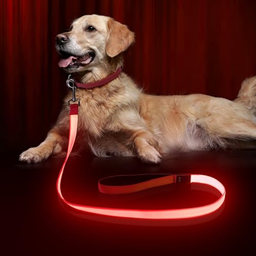 Bpawser LED-Hundeleine, beleuchtete Hundeleine, Micro-USB, wiederaufladbar, Nylon-Gurtband, leuchtet Sicherheitsstandard-Hundeleine für Hunde, 120 cm, Rot von Bpawser