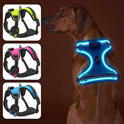 Bpawser Light Up Hundegeschirr LED Hundegeschirr No-Pull mit Griff Wiederaufladbare beleuchtete Hundeweste Geschirr Hundegeschirr für X-Small Small Medium Large X-Large Größe (Blau,XS) von Bpawser