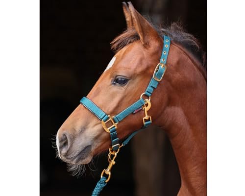 Brama West Halfter Pferd Golden Line Pferdehalfter mit Goldenen Beschlägen (Grün, Foal) von Brama West