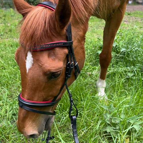 Brama West Ledertrense Pferd Sparkle - englisch kombiniert - Reithalfter mit Antislip Zügel und Strasssteinen - Rot, Gr. Pony von Brama West