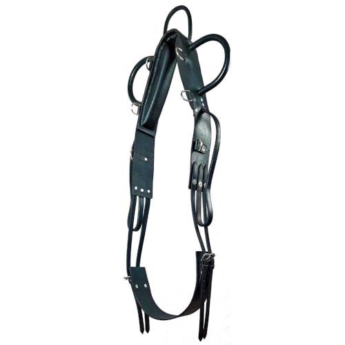 Brama West Voltigiergurt und Reitlerngurt Training schwarz (XFull) von Brama West