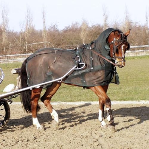 Brama West Fahrfliegendecke mit Halsteil für Fahrpferde - mit Öffnungen für das Fahrgeschirr - Pferdedecke - Grün, Gr. 155 von Brama West