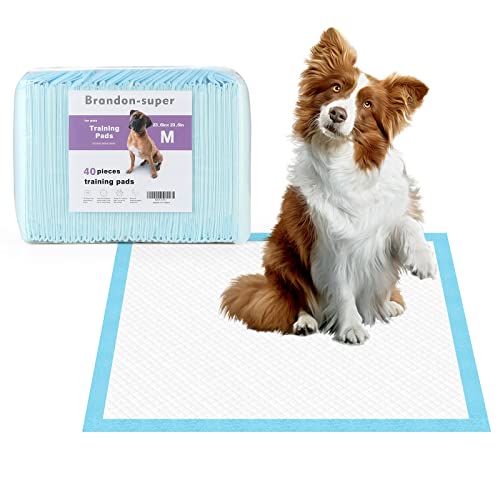 Brandon-super Einweg-Urin-Pad für Hunde und Katzen, starke Wasseraufnahme, Haustier-Geruchsaufnahme, verdickte Baumwollschicht, 58,4 x 58,4 cm, 40 Stück von Brandon-super