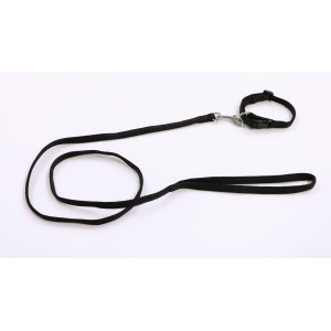 Nylon Halsband gefüttert mit Hundeleine 10 mm x 120 cm Schwarz von Brekz