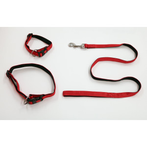 Nylon Halsband oder Hundeleine gefüttert rot Halsband 20 mm von Brekz