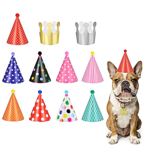 11 Stück Hunde Geburtstag Partyhüte Party Set Geburtstag Hut Hund Geburtstag Hut Katzen Geburtstag Deko Niedliche Katzen Hundegeburtstag Hüte Mit Bommeln Für Hochzeiten Welpen Kätzchen Partyhüte von Bremorou