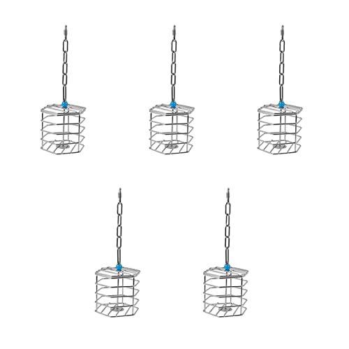 Briaatt 5X Haustier Papagei Hörnchen Fett Edelstahl Lebensmittel Hängen Käfig Futter Suche Spielzeug Ara Kakadu Jagd Feeder Unterhaltung Spielzeug von Briaatt