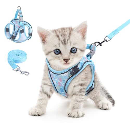 Brifit Katzengeschirr, Katzen Geschirrset Ausbruchsicher mit Reflektierenden Streifen, Verstellbar Cat Harness mit Leine 150cm, Katzen Geschirr für Kleine Kitten Hunde [Blau XXS] für 4,41-6,61 lb Pet von Brifit