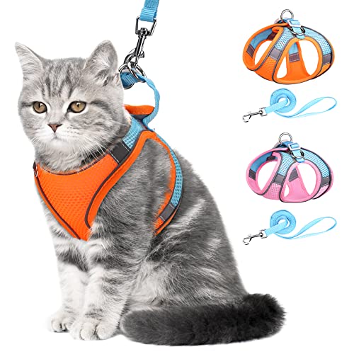 Brifit Katzenleine mit Geschirr, Katzengeschirr mit Leine Ausbruchsicher, Geschirr Katze mit Reflektierenden Streifen, Cat Harness and Leash für Kitten Katzen Kaninchen (Orange, XS) von Brifit