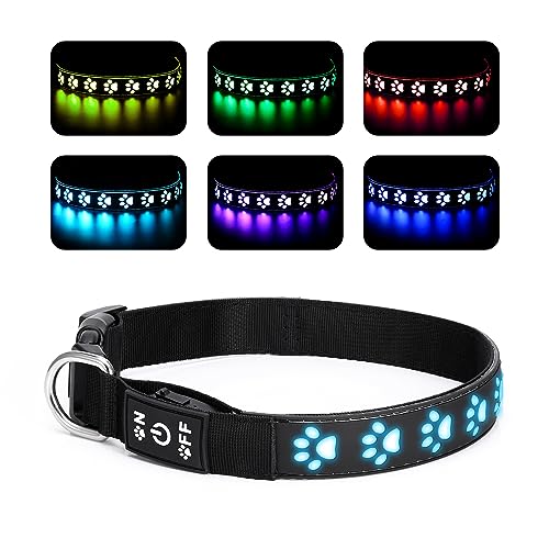 Brifit LED Halsband Hund Leuchtend, Leuchthalsband Hunde USB Aufladbar, Einstellbar Sicherheit Hundehalsband mit 7 Beleuchtungsmodi für Mittlere Große Hund für Sicherheit Nachts - M von Brifit