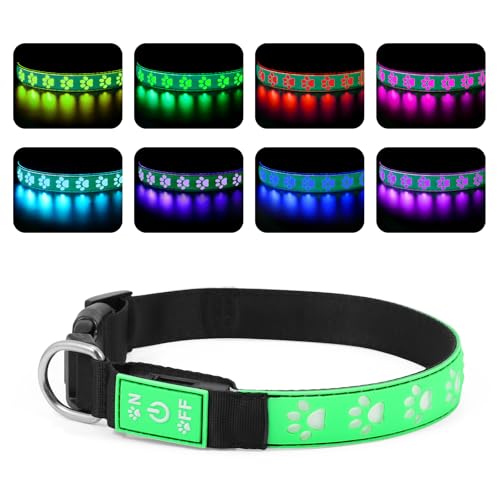 Brifit Leuchthalsband Hund Wiederaufladbare USB, LED Hundehalsband mit 14 Beleuchtungsmodi, Wasserdicht Leuchtendes Hunde Halsband Einstellbare für Mittlere Große Hunde, Super Helle (Grün, M) von Brifit