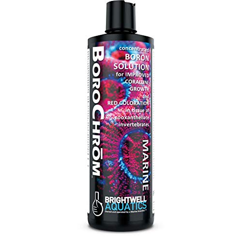 Brightwell Aquatics Borochrom - 125 ml von Brightwell Aquatics