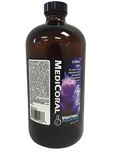 Brightwell Aquatics MediCoral - Coral Dip für neue Korallenzusätze und zum Nutzen etablierter Korallen von Brightwell Aquatics