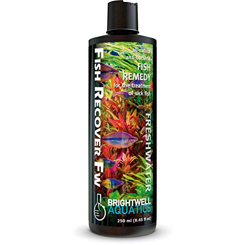 Brightwell Aquatics Recover FW Brightwell 250 ml 300 g von Brightwell Aquatics