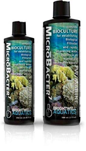 BRIGHTWELL AQUATICS MicroBacter7 Komplette Biokultur für Aquarium oder Aquarium, befüllt biologische Filtermedien für Salzwasser- und Süßwasserfische, Aquarium-Wasserbehandlungen, 1,999 ml von Brightwell Aquatics