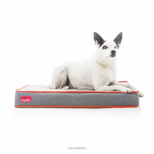 Brindle Wasserdichtes Designer-Memory-Foam-Haustierbett, Abnehmbarer, maschinenwaschbarer Bezug, 10,2 cm, orthopädisches Haustierbett, Gelenkentlastung von Brindle