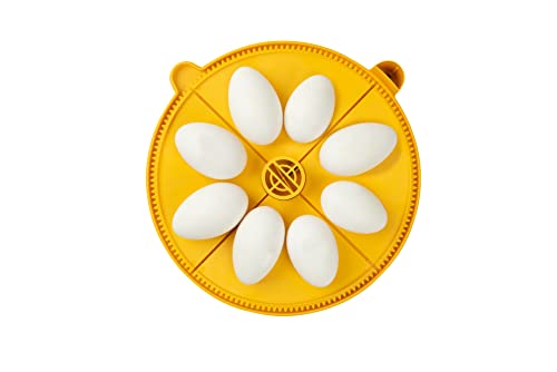 Brinsea Products Maxi Advance Inkubator extra großer Eiervierteleinsatz (8 Gänseeier), gelb von Brinsea