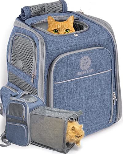 Erweiterbarer, atmungsaktiver Katzenrucksack für Bequeme, Lange Spaziergänge – von Kitty bis hin zu mittelgroßen Katzen, kleinen Hunden, Welpen und Anderen kleinen Haustieren bis zu 6,8 kg – von BriskTails