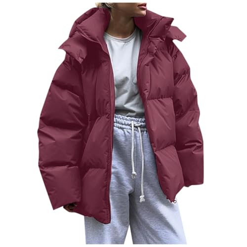 Briskorry Winterjacke Puffer Damen, Winter Steppjacke Damen, Outdoorjacke mit Kapuze Warmer Winterparka Lange Ärmel mit Reißverschluss Steppparka Loose Übergrößen Wanderjacke Kuschelig Jacken Outdoor von Briskorry