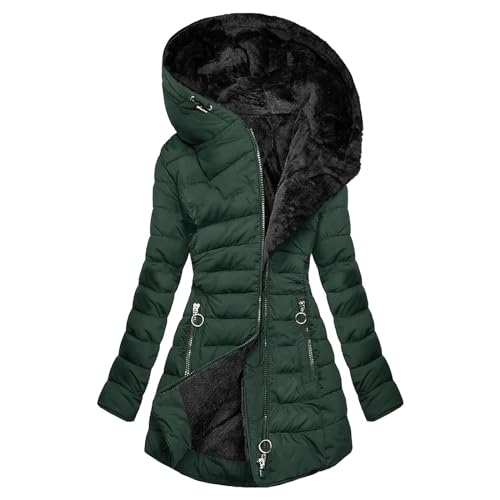 Warme Winterjacke Damen Gefüttert, Daunenjacke Damen Winter, Übergangsjacke mit Kapuzen Warmer Outdoor Jacke Lange Ärmel Zipper Steppparka Casual Grosse Grössen Sweatjacke Mode Jacken Frauen von Briskorry