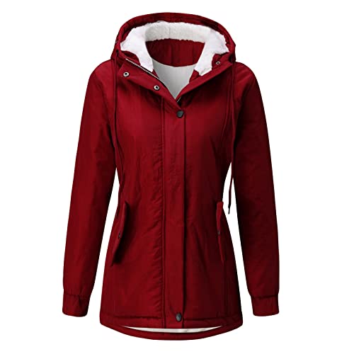 Winterjacke Damen Lang Warm Gefüttert, Winter Steppjacke Damen, Übergangsjacke Warm mit Kapuzen Wintermäntel Zipper Lange Ärmel Down Jacket Baggy Übergrößen Softshelljacke Elegant Coat Frauen von Briskorry