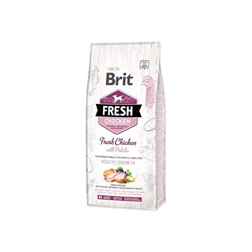 Brit Fresh Hühnchen mit Kartoffel Welpe Heathy Growth 12 kg von BURBERRY