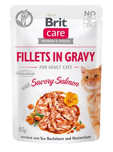 Brit Care COT SASZ.85G FG Salory Lachs, Nassfutter für Katzen, Packung mit 1 Stück, 85 g von VAFO PRAHA s.r.o.