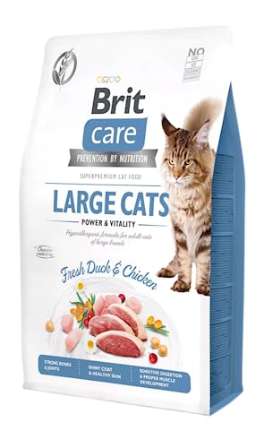 VAFO PRAHA s.r.o. Brit Care Katzenfutter für Katzen, groß, 2 kg, Power & Vitality GF von VAFO PRAHA s.r.o.