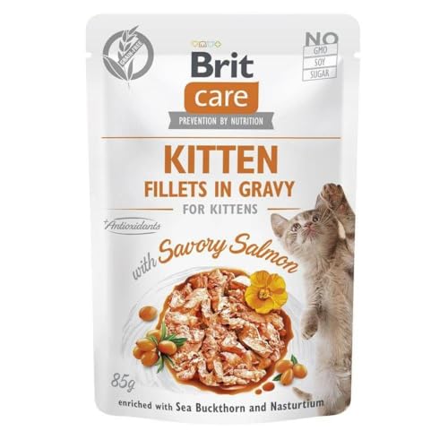 Brit Katzenfutter Care Cat Kitten Choice Lachs 85 g von Brit