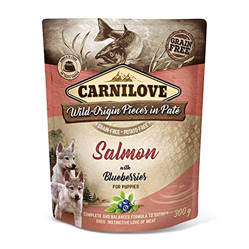 VAFO PRAHA s.r.o. CARNILOVE Dog SASZ.300G Lachs & Blaubeeren Puppie Nassfutter / 12 von Brit