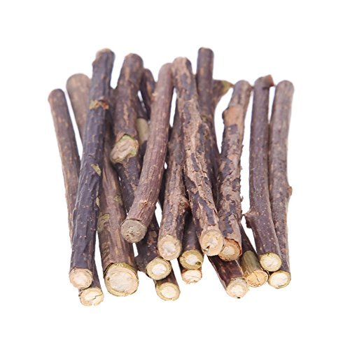 Broadroot 15 stücke Natürliche Obst Matatabi Katze Snacks Sticks Katzenminze Haustier Katze Molar Zahnpasta Stange Kätzchen Reinigung Zähne Werkzeug von Broadroot