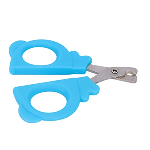 Katzennagel Clipper, Edelstahl Klauenklammer Trimmer Katzenklauen Clippers Hund Nagel Trimmers Haustier -Pflegewerkzeug für Katzen, Kätzchen, Hamster, Vögel, Kleine Breed -Tiere Klauenschneider (BLUE) Katzennagel Clipper, Edelstahl Klauenklammer Trimmer Katzenklauen Clippers Hund Nagel Trimmers Haustier -Pflegewerkzeug für Katzen, Kätzchen, Hamster, Vögel, Kleine Breed -Tiere Klauenschneider (BLUE) von Brrnoo