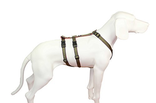 Feltmann NoExit Hundegeschirr Soft-Muster, Khaki, 25mm/60-80cm Feltmann NoExit Hundegeschirr Soft-Muster, Khaki, 25mm/60-80cm von Brustgeschirr