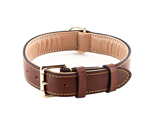 Brute Strength Hundehalsband aus Leder - Braun - XXL - 66-73 cm von Brute Strength