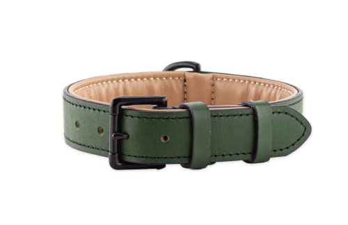 Brute Strength Hundehalsband aus Leder - Dunkelgrün - L - 46-53 cm von Brute Strength