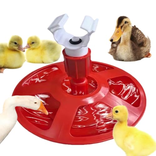 Automatic Chicken Waterer, Water Feeder Poultry Waterer, Poultry Watering Cups, Water Dispenser Poultry Drinker, Duck Waterer for Ducks, Chicks Waterer, Poultry Hydration System, Self-Filling C von Bsbkoj