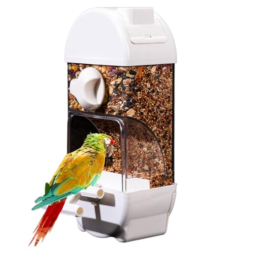 Automatischer Vogelfutterspender Clear Bird Feeder Sittich Futterspender Große Kapazität Vogelfutterspender Anti-Verschütten Vogelfutterspender Smart Bird Feeder Nymphensittich Futterbehälter von Bsbkoj