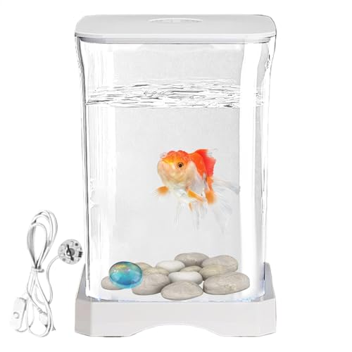 Betta Fish Tank, Small Acrylic Aquarium with LED Lighting, 6.97x4.65x4.65 Inches, Clear Betta Bowl for Water Landscaping, Desktop Decor for Shrimp, Crab, Spider von Bsbkoj