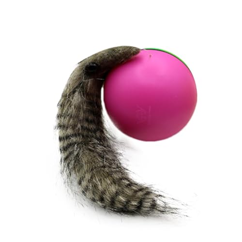 Bsbkoj Interactive Cat Toy Ball, Automatic Rolling Smart Pet, Nutria Kitten Ball,8.27x3.35 Inches Portable Convenient Playful Battery Powered Toy for Exercise, Playing and Relaxing von Bsbkoj