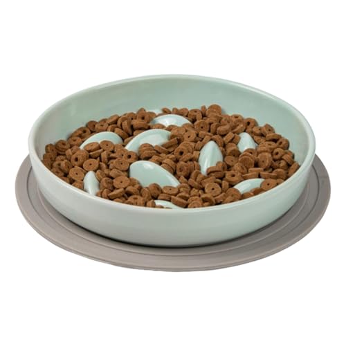 Cat Food Bowl Slow Feed, Cat Food Bowls Slow Feeder, Slow Food Feeding Pet Bowl, Feeding Cat Food Bowl, Cat Slow Feeder Bowl, Eating Pet Bowl, Anti-Gulp Pet Food Bowl, Slow Feeder for Cats and Dogs von Bsbkoj