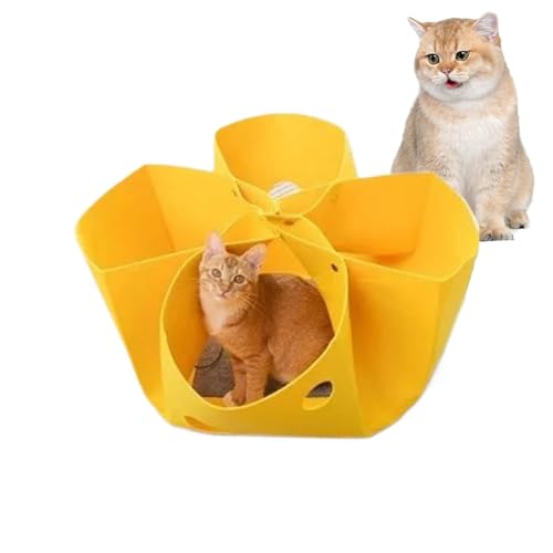 Cat Tunnel Bed, Felt Cat Donut Tunnel Nest, 13.78x13.78x1.97 inches Adorable Deformable Hideaway, Interactive Detachable Kitten Playground, Cozy Enrichment Toys for Small Pets von Bsbkoj