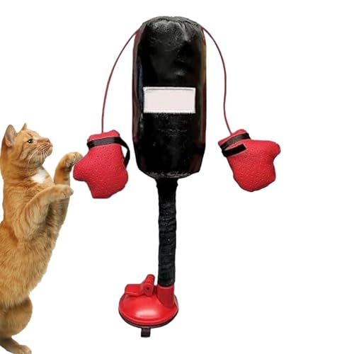 Kitten Boxspielzeug Katze Interaktives Spielzeug Sportspielzeug für Katzen Boxsack für Katzen Katze Teaser Spielzeug Boxspielzeug für Katzen Interaktives Haustier Spielzeug für Katzen Katze Boxsack von Bsbkoj