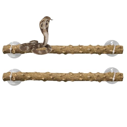 Lizard Climbing Pole Set, Reptilienholzzweige für Climbing, 2-teiliges Lizard Climbing Pole Set, Pet-Friendly Zubehör für Reptilien-Tanks, ideal für Snakes, Lizards und bearded Dragons von Bsbkoj