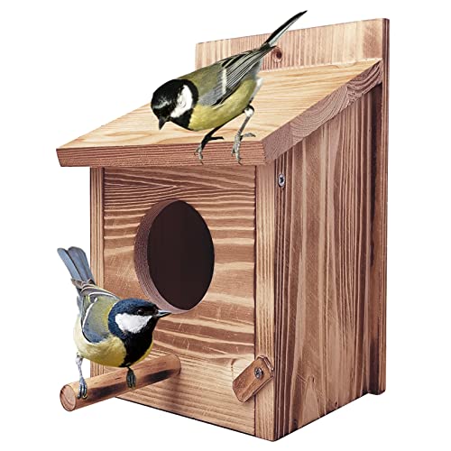 Bseical Nistkasten, Vogelhaus Nistkasten, VogelhäUschen Zum AufhäNgen, Meisenkasten Nistkasten, Holzbausatz Wetterfest, NistkäSten FüR VöGel Nach Nabu, Nistkasten Rotkehlchen Wellensittich von Bseical