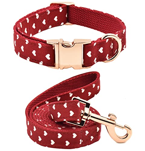 Bubblepup Hundehalsband und Leine, Set, Hundehalsband mit Leine, Set, verstellbares Hundehalsband und Leine für kleine, mittelgroße und große Hunde (XS, Herzen) von Bubblepup