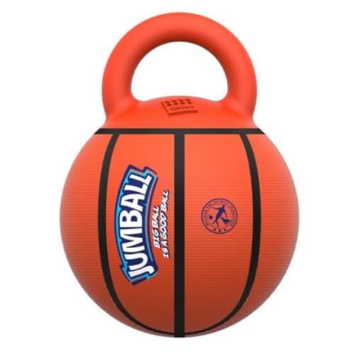 Bubimex - Ball mit Griff für Hunde – Farbe Basketball (Durchmesser 30 cm) – Material: Gummi von Bubimex